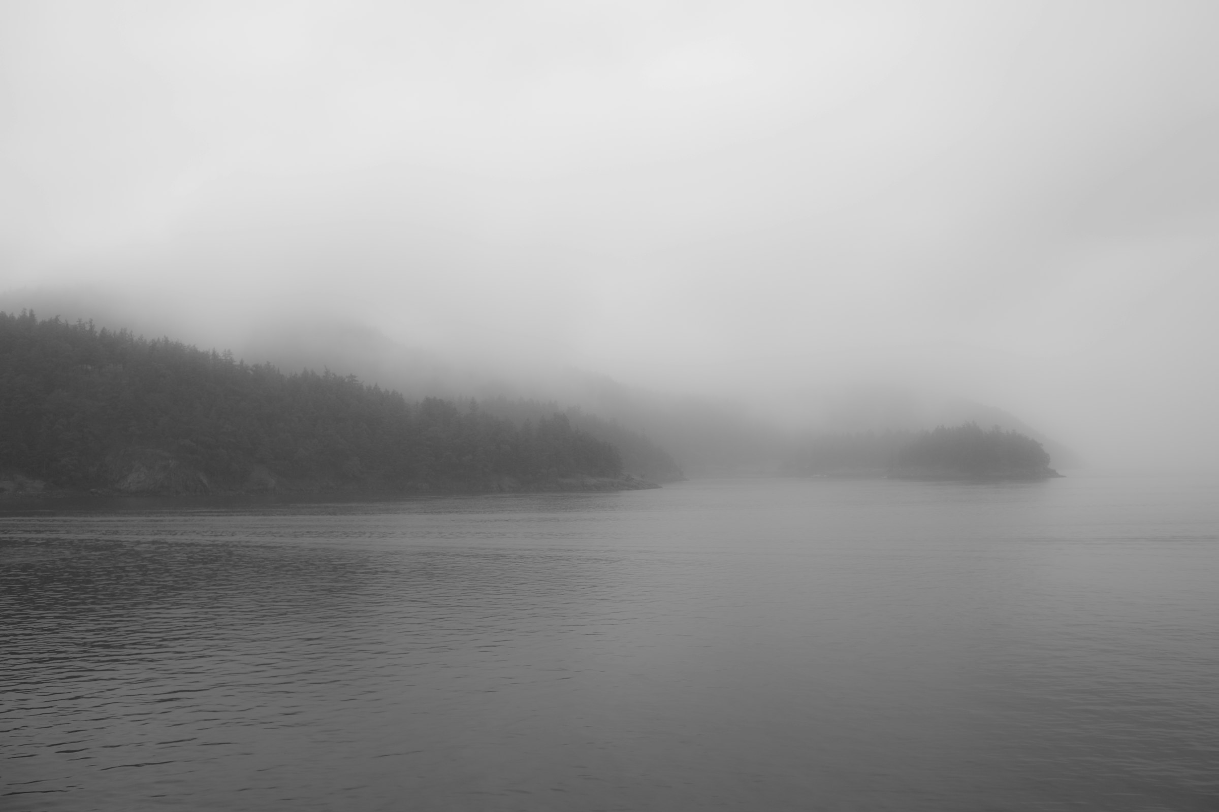Fog over Puget Sound at dawn